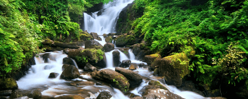 Torc Waterfall in Ireland