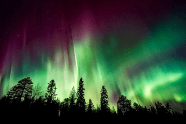 A vous les aurores boréales !